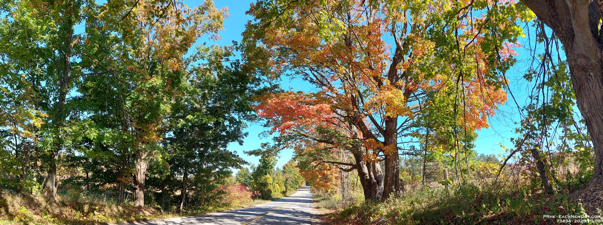 73434PaCrLe - Mom and I went on a colour tour